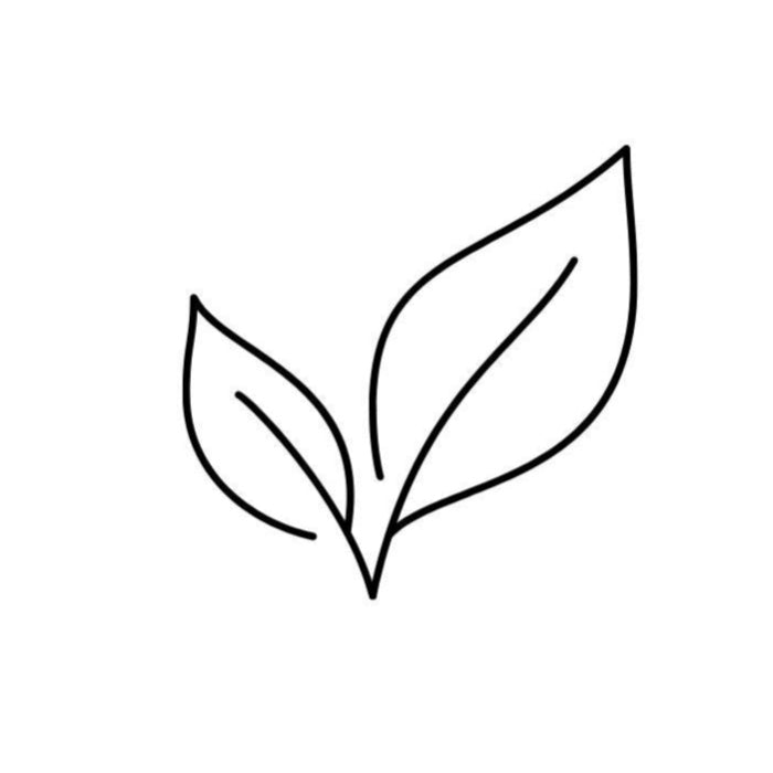 Bloom Puzzles Essential Oils Icon